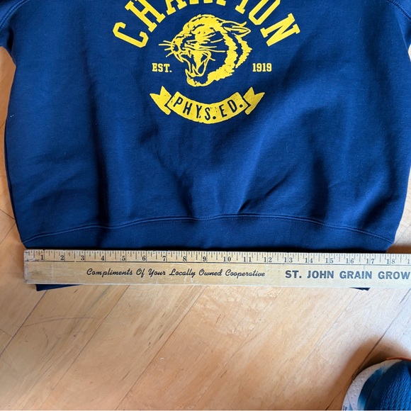 Champion Phys ED SS Sweat-Tee Women Sm #workout #leisurewear #gym #collegiate - Picture 3 of 5